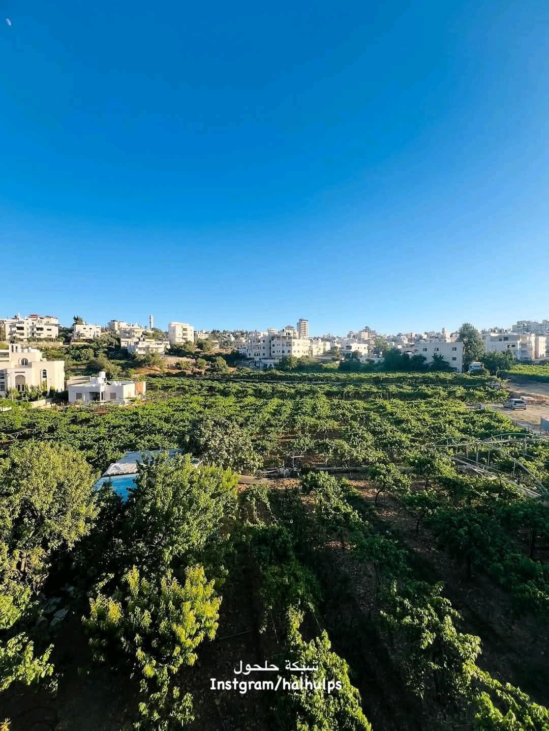 الخليل | موسوعة القرى الفلسطينية الخليل | موسوعة القرى الفلسطينية
